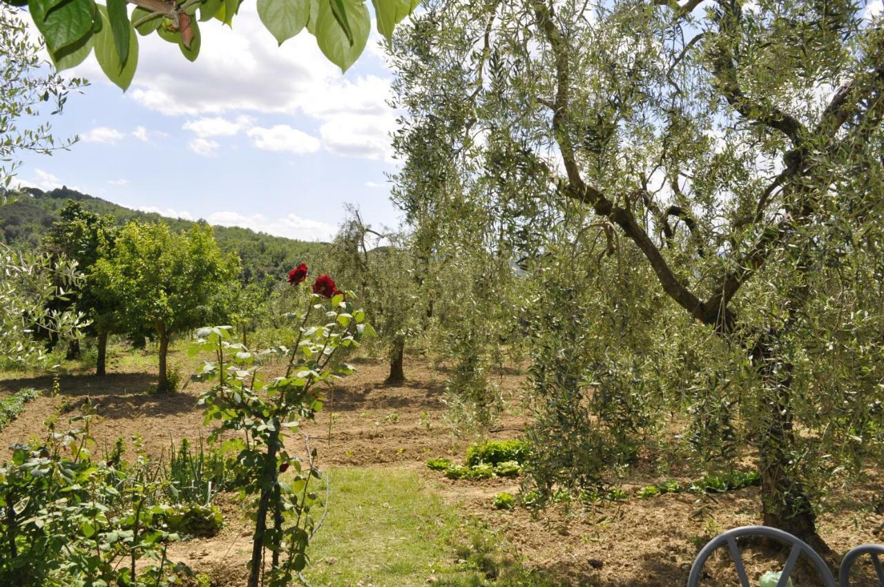 Apartamento La Casa Di Montelonti Poggibonsi Exterior foto